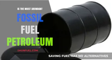 Is Petroleum the Most Abundant Fossil Fuel? Facts and Insights