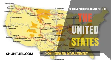 Uncovering America's Dominant Energy Source: The Abundant Fossil Fuel Within