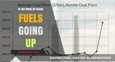 Rising Fossil Fuel Costs: Trends, Causes, and Future Implications
