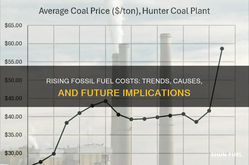 is the price of fossil fuels going up