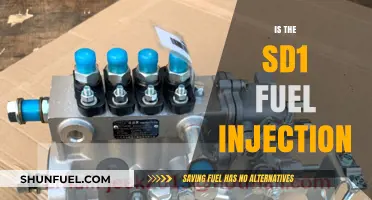 Exploring the SD1 Fuel Injection System: Performance, Efficiency, and Reliability