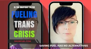 Snapchat Filter: Fueling Trans Crisis or Just Fun?