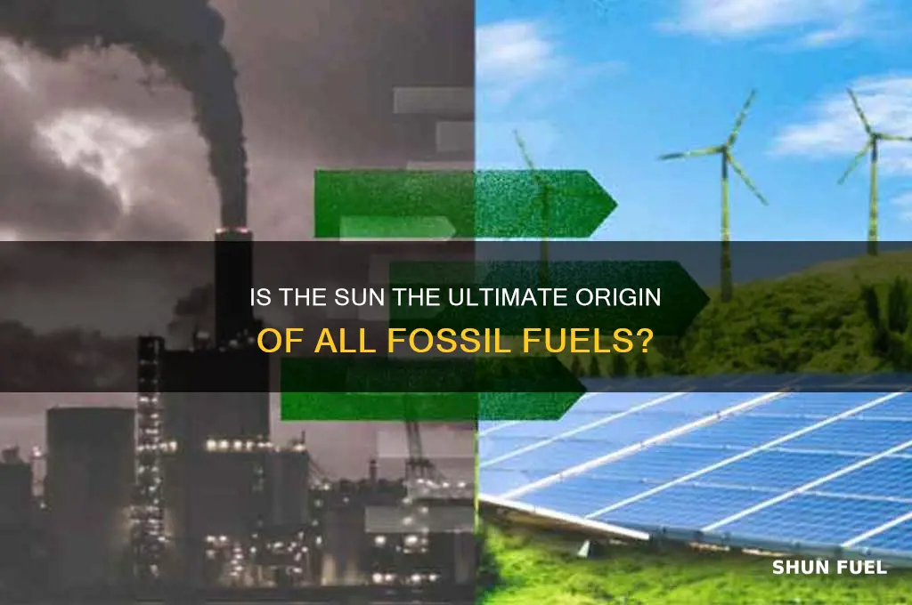 is the sun the source of all fossil fuels