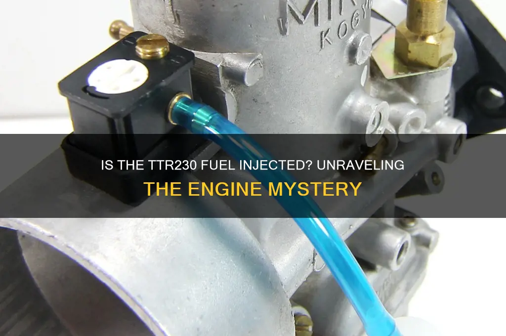 is the ttr230 fuel injected