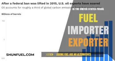 Is the United States a Fossil Fuel Importer or Exporter?