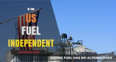 Is the US Fuel Independent? Analyzing Energy Self-Sufficiency and Challenges