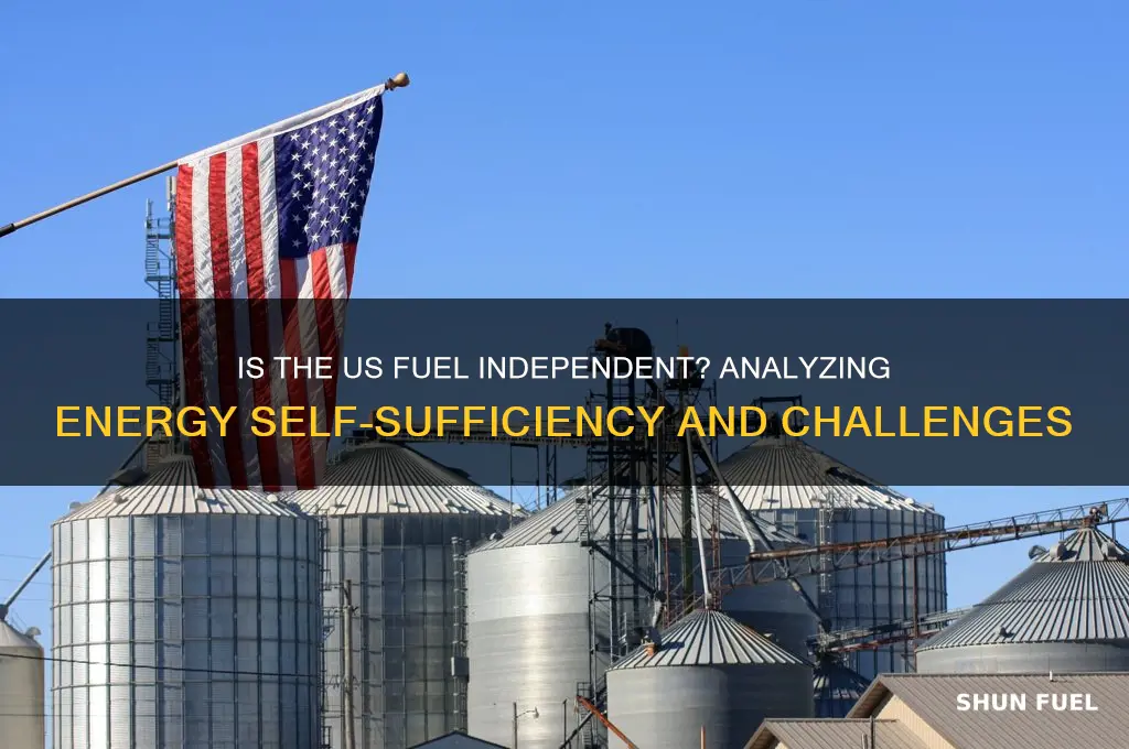 is the us fuel independent