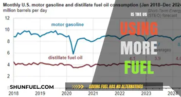 Rising Fuel Consumption: Analyzing America's Growing Energy Demands