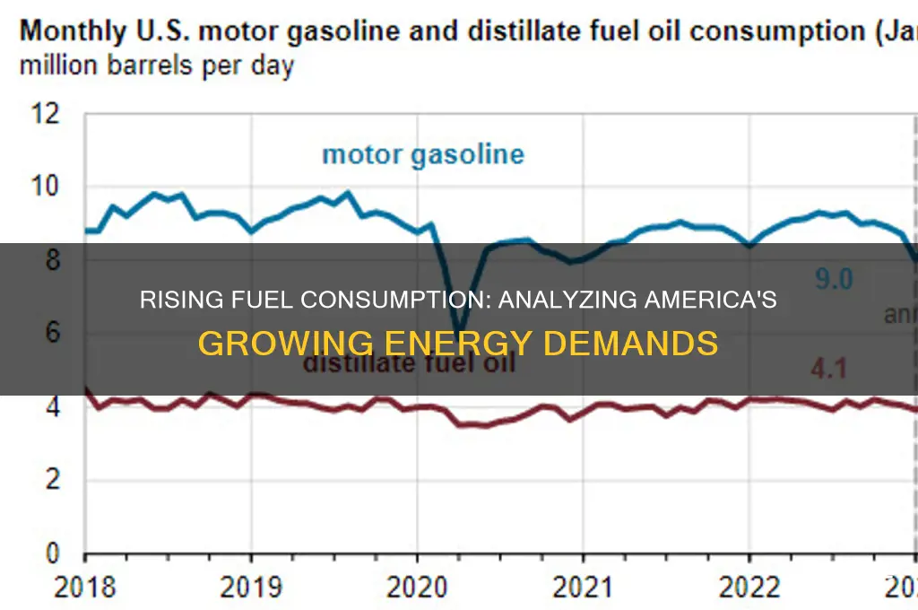 is the us using more fuel
