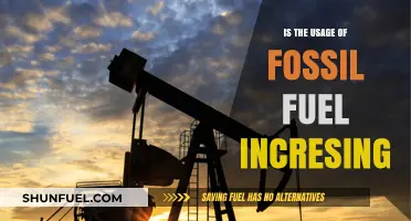 Fossil Fuel Usage Rising: Trends, Impacts, and Future Outlook