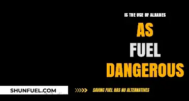 Are Alkanes as Fuel a Hazardous Choice for Our Future?