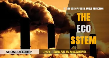 Fossil Fuels' Impact: How Are Ecosystems Affected by Their Use?
