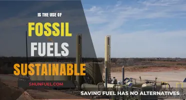 Fossil Fuels: A Sustainable Future or Environmental Dead End?