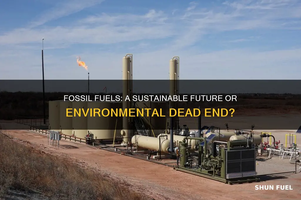 is the use of fossil fuels sustainable