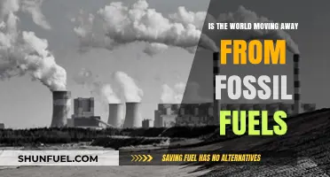 Global Shift: Are Fossil Fuels Becoming Obsolete in the Energy Transition?