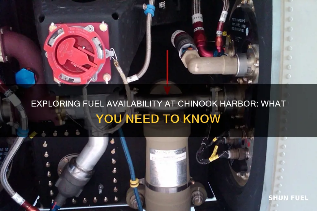 is their fuel chinook harbor
