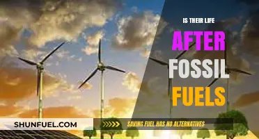 Beyond Fossil Fuels: Exploring the Future of Sustainable Energy