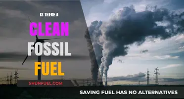 Exploring the Myth: Can Fossil Fuels Ever Be Truly Clean?