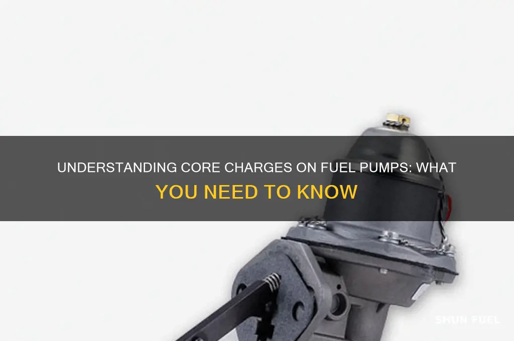 is there a core charge on fuel pumps