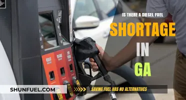 Georgia's Diesel Supply: Running on Empty?