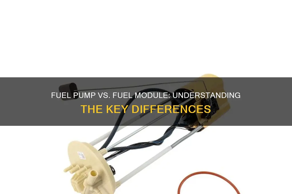 is there a difference between fuel pump and fuel module