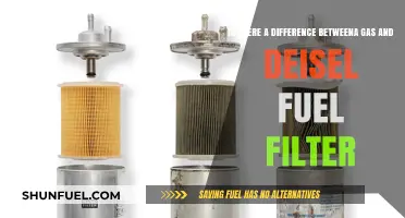 Gas vs Diesel Fuel Filters: What's the Difference?