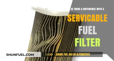 Fuel Filter Service: Is It Worth the Extra Cost?