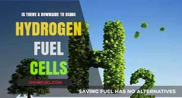 Hydrogen Fuel Cells: Revolutionary Energy or Hidden Downsides?