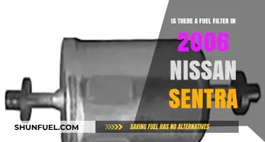 Fuel Filter Facts for 2006 Nissan Sentra Owners