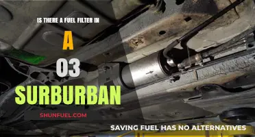 Fuel Filter Facts for 03 Suburbans