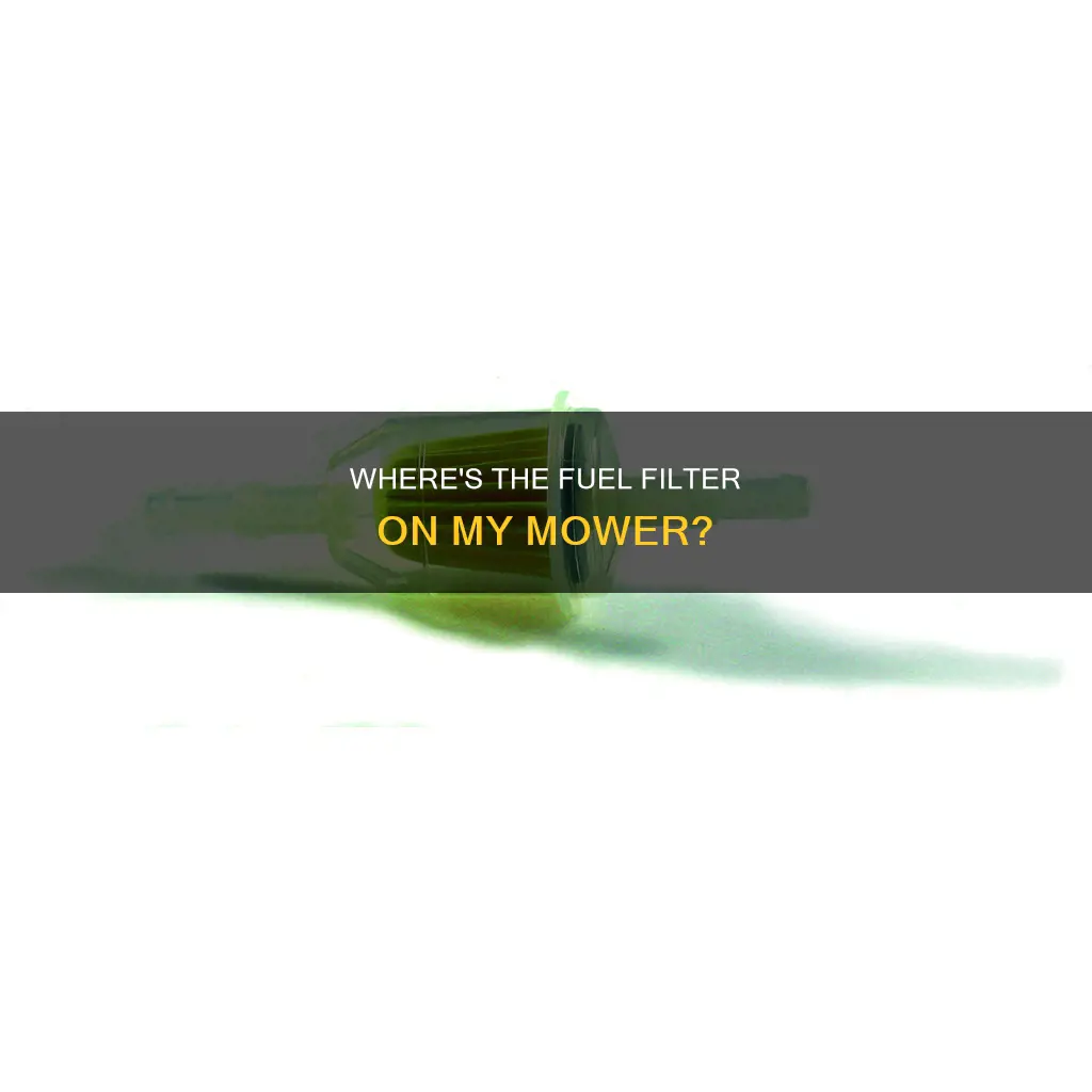 is there a fuel filter in a 12ae4490d011 mower