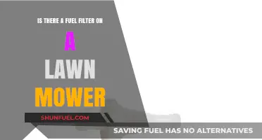 Lawn Mower Fuel Filter: Where is it?