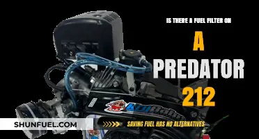 Fuel Filter Mystery: Predator 212's Secret?