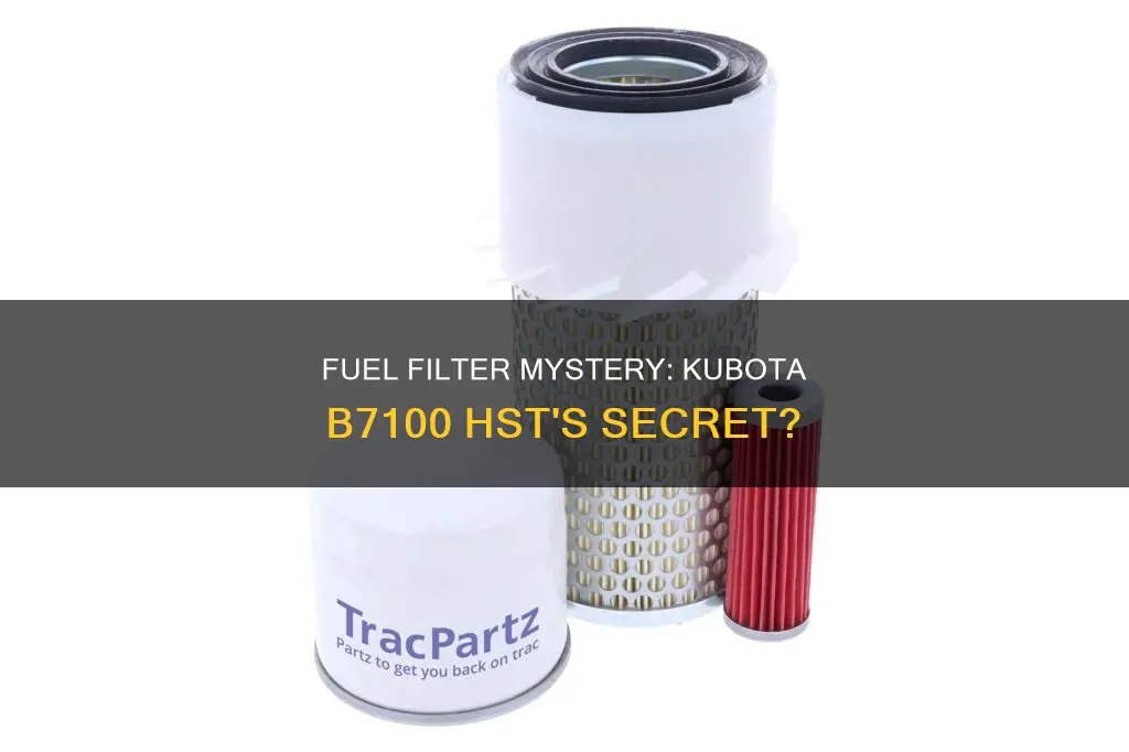 is there a fuel filter on kubota b7100 hst