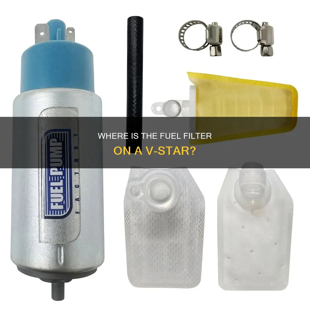 is there a fuel filter on vstar