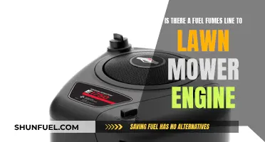 Fuel Fumes and Your Lawn Mower: Is There a Link?
