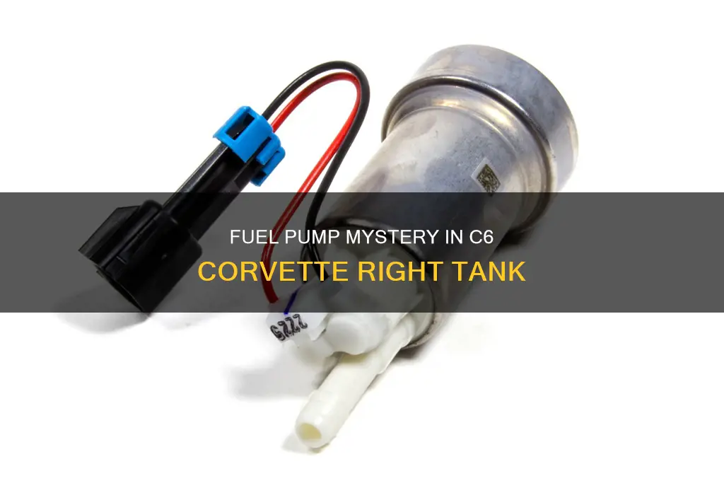 is there a fuel pump in right tank c6 corvette