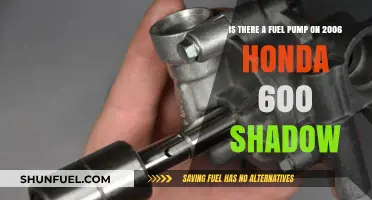 Does the 2006 Honda Shadow 600 Have a Fuel Pump?