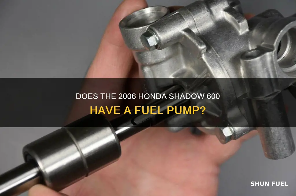is there a fuel pump on 2006 honda 600 shadow
