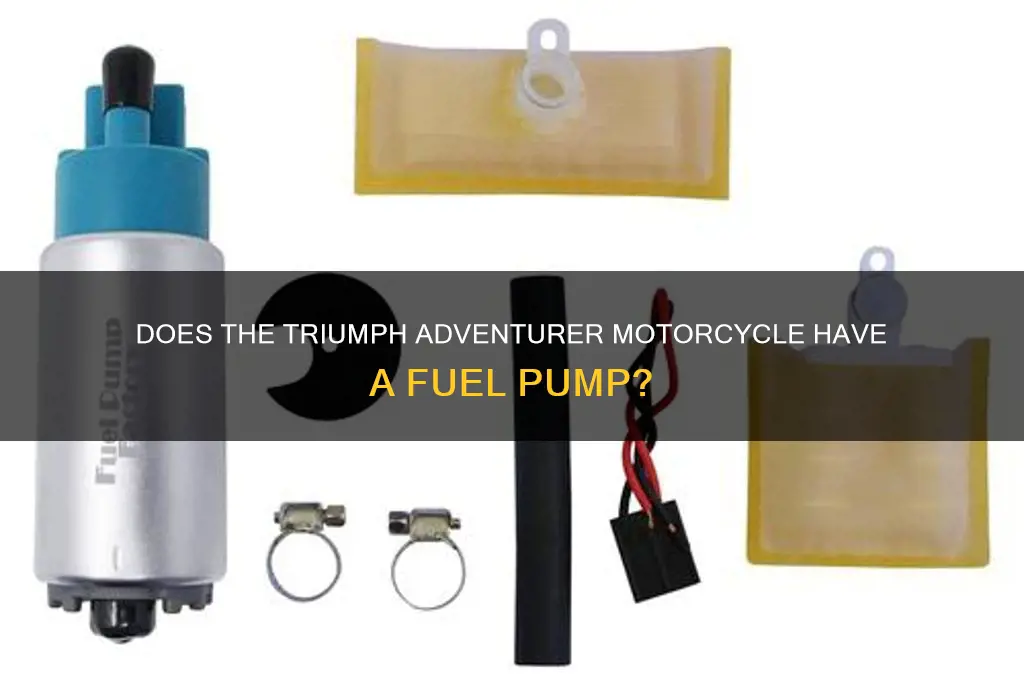 is there a fuel pump on a triumph adventurer