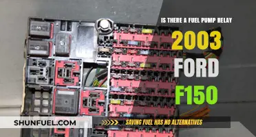 2003 Ford F150 Fuel Pump Relay: Location and Function Explained