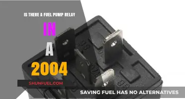 Does a 2004 Vehicle Have a Fuel Pump Relay?