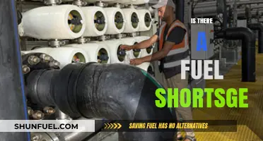Is There a Fuel Shortage? Analyzing Global Supply and Demand Concerns