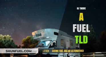 Exploring the Existence of a Dedicated Fuel Top-Level Domain (TLD)