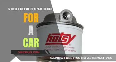 Fuel-Water Separator Filters: Essential Car Maintenance?