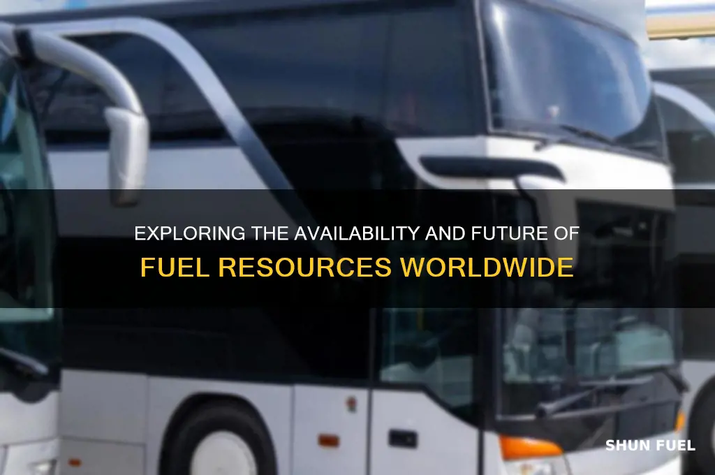 is there a fuel