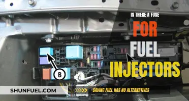 Fuel Injector Fuses: Are They Necessary?