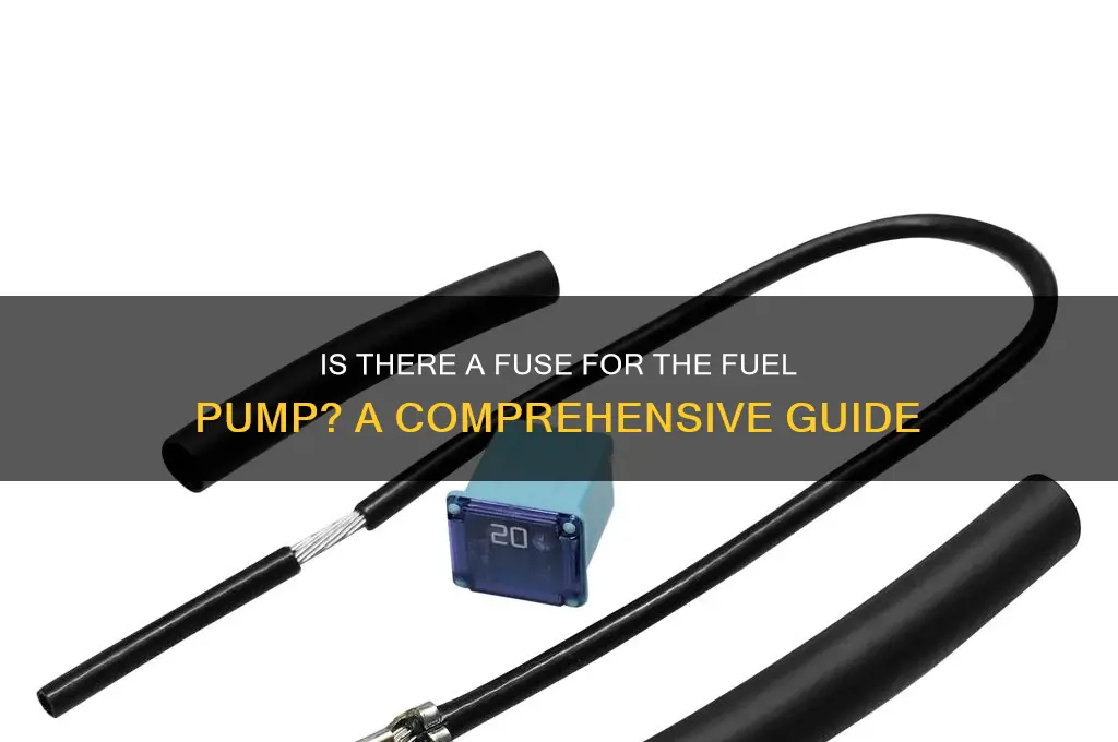is there a fuse for the fuel pump