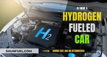 Hydrogen-Fueled Cars: Are They the Future of Driving?