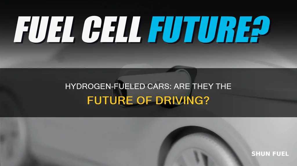is there a hydrogen fueled car
